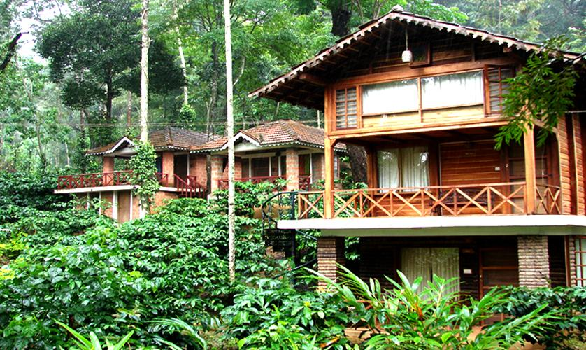 Coffee plantation in Coorg Karnataka