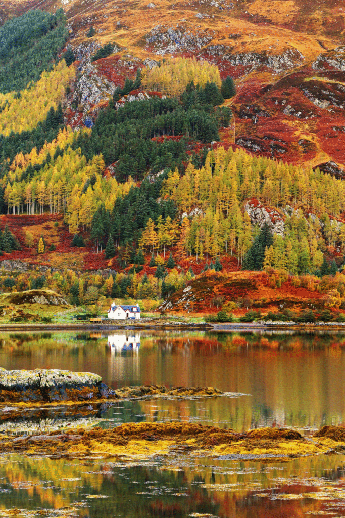 Scottish Highlands and loch surrounded by autumn colours