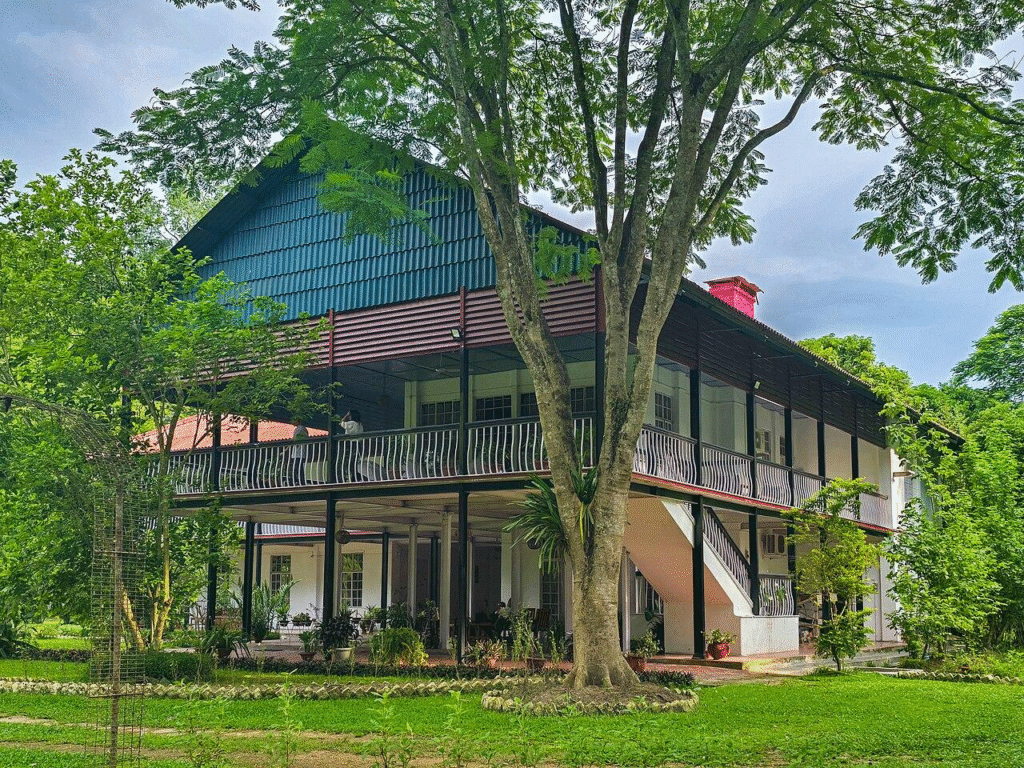 Heritage tea planter bungalow surrounded by tea gardens in Jorhat Assam