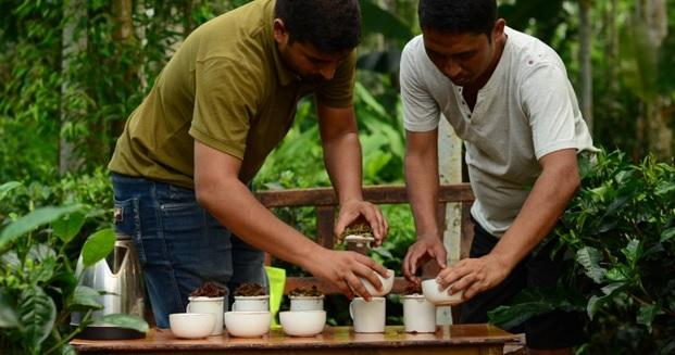 Assam black tea tasting at a Jorhat tea estate